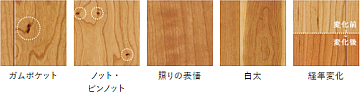 朝日ウッドテック フローリング カタログ 激安 価格 ライブナチュラルプラス　ブラックチェリー/Black Cherry　キャラクター