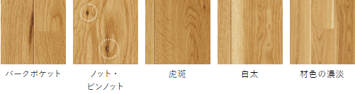 朝日ウッドテック フローリング カタログ 激安 価格 フローリング材（床材）ライブナチュラルプラス オーク/Oak　キャラクター