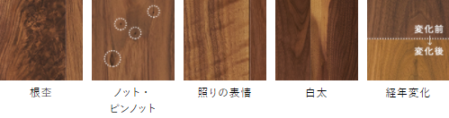 朝日ウッドテック ライブナチュラルプラス 激安価格 ブラックウォルナット/Black Walnut キャラクター